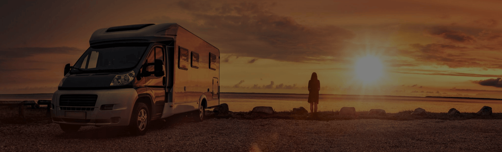 Business Fly - About Us