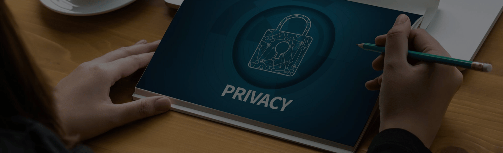 Business Fly - Terms